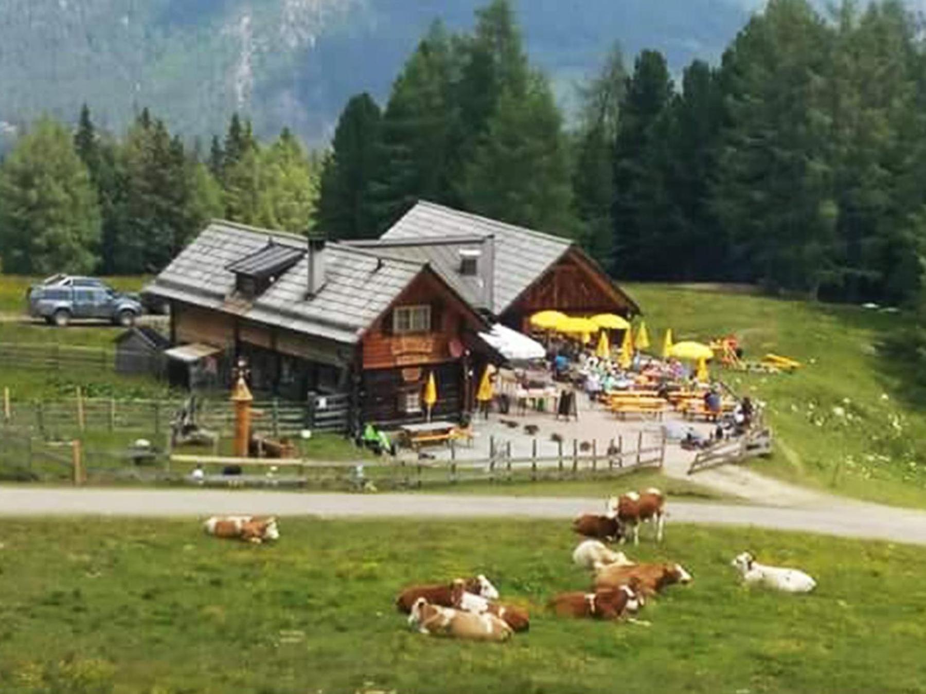 Appartementhaus Samson Fanningberg Weisspriach エクステリア 写真